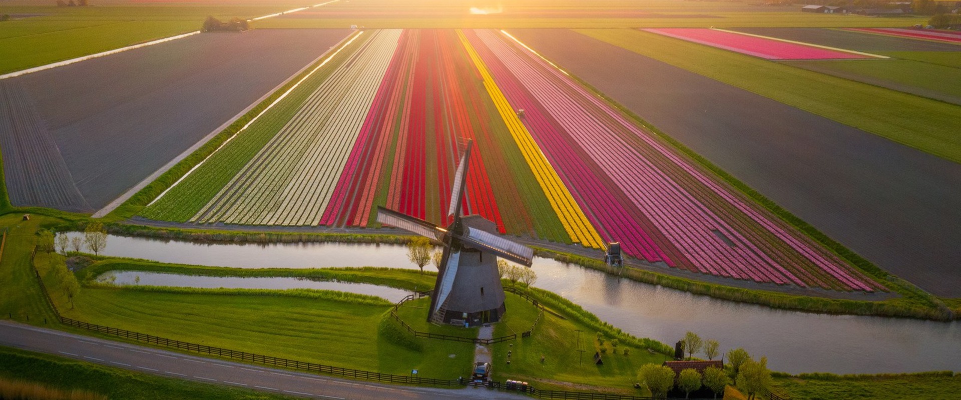 8 Tips to Improve Your Drone Photography Skills