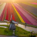 8 Tips to Improve Your Drone Photography Skills