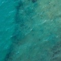 Drone Photography Over Populated Areas: What You Need to Know