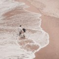 Taking Love To New Heights: Exploring Drone Photography For Couples In Maui