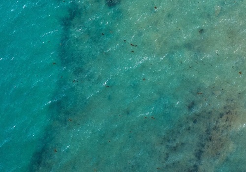 Drone Photography Over Populated Areas: What You Need to Know